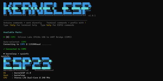 Kernel ESP