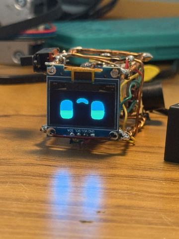 DIY Desi Mochi Robot