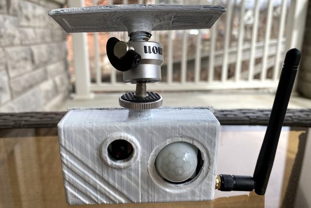 Dog Camera