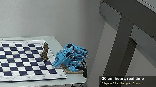 Lerobot So101 Inverse Kinematics